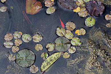 开启新世界的冒险《冰封之焰》Steam EA上线！首周特惠折扣进行中